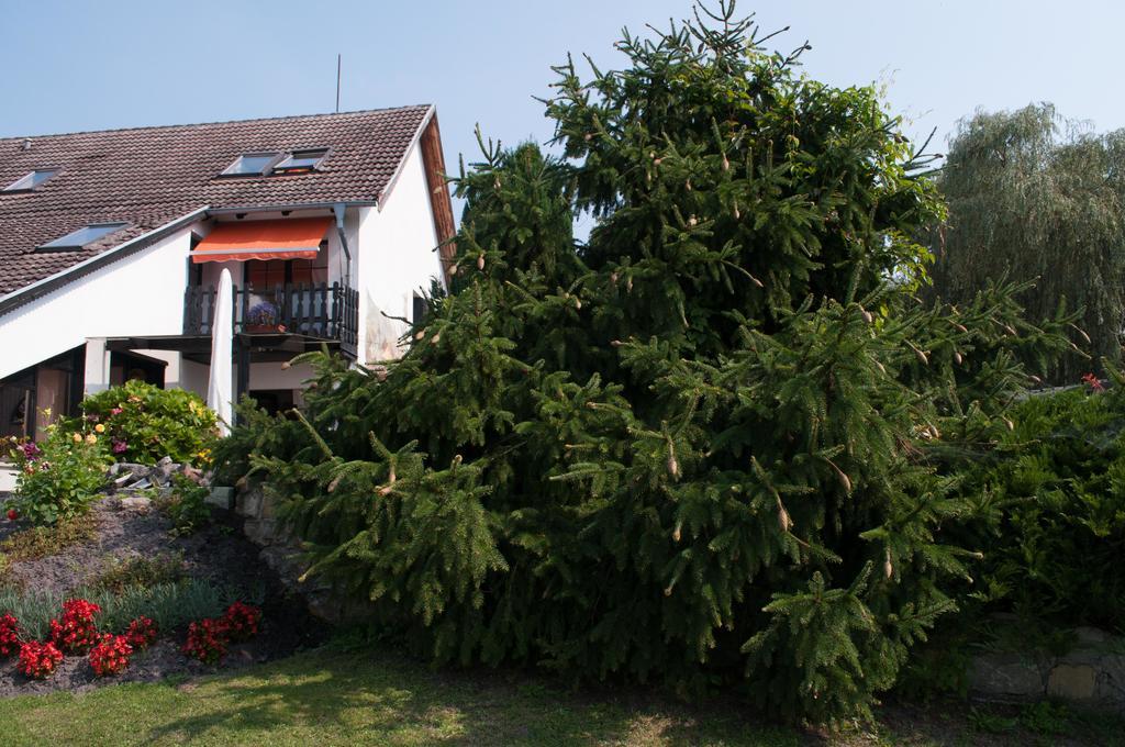 Apartment Edelweiss Egsdorf Esterno foto